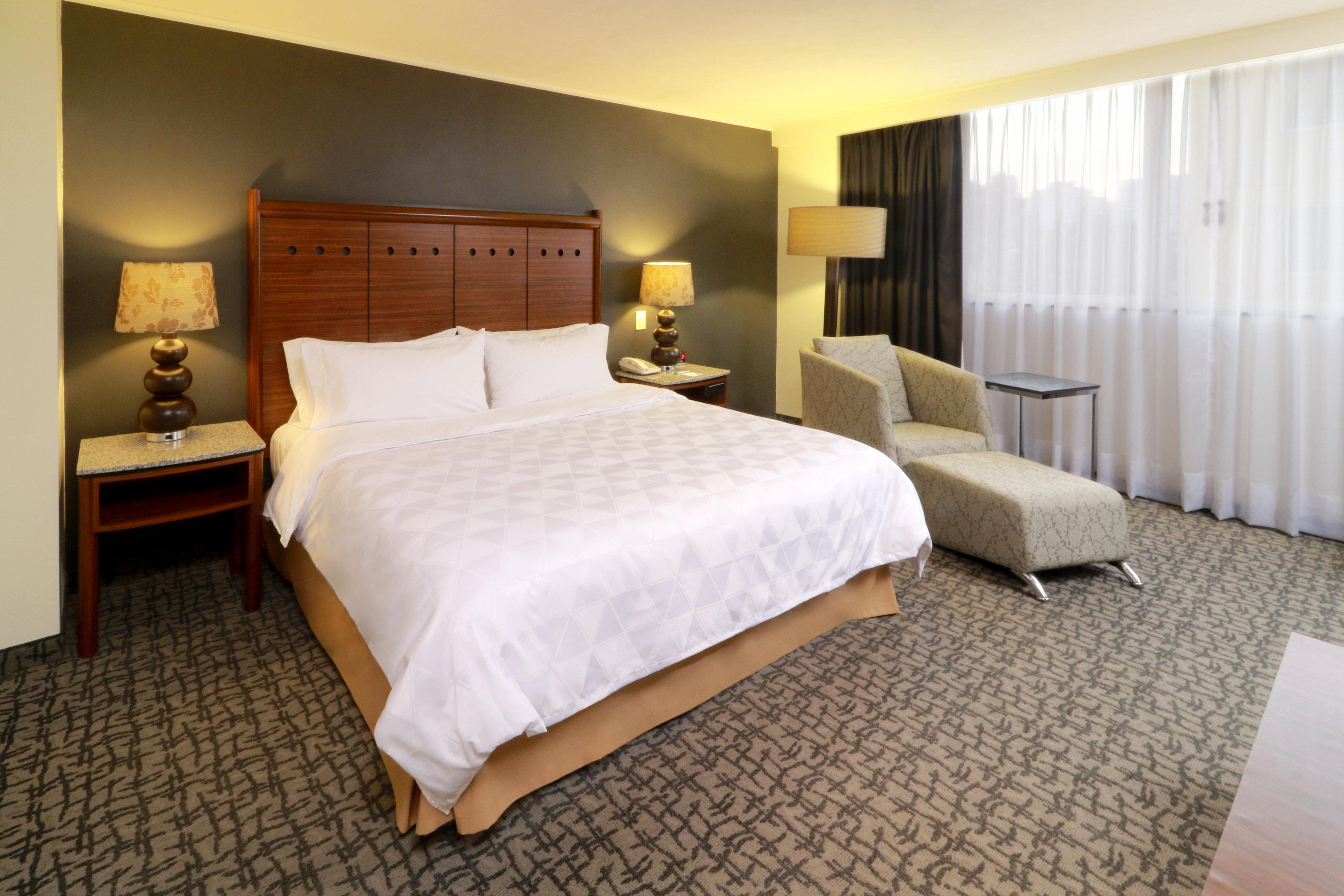 Holiday Inn Mexico City - Trade Center By Ihg Buitenkant foto